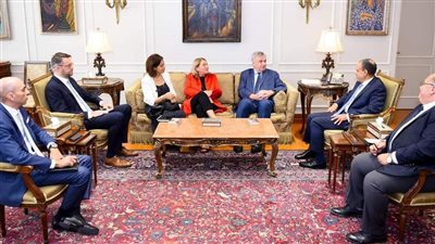 وزير الخارجية يستقبل المدير التنفيذي للغرفة الألمانية العربية للصناعة والتجارة