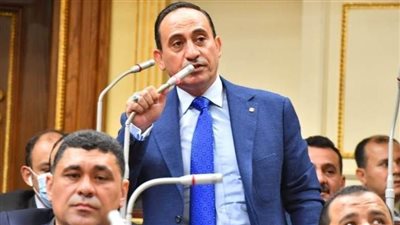 برلماني: زيارة الرئيس السيسى لإريتريا تسهم فى استقرار منطقة القرن الإفريقي