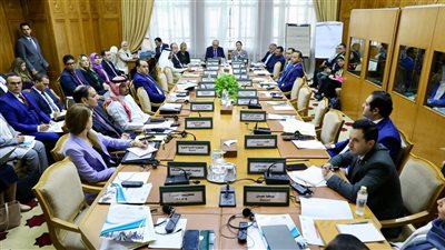 الجامعة العربية تنظم ورشة عمل حول نزع السلاح والتسريح وإعادة الإدماج