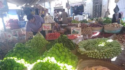  الطماطم بـ 20  جنيهًا.. أسعار الخضراوات والفاكهة بقنا اليوم