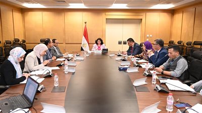 نائبة وزيرة التضامن الاجتماعي تجتمع باللجنة العليا لإدارة تنفيذ الاستراتيجية الوطنية لمكافحة الفساد