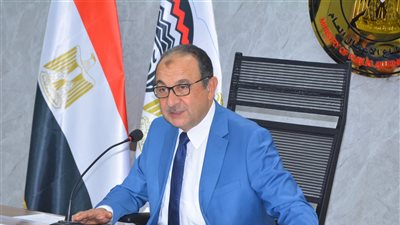 وزير قطاع الأعمال أمام الشيوخ: نعمل على ضخ دماء جديدة وهيكلة شاملة لتعزيز التنافسية