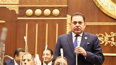 فرج فتحي: إدراج قضايا الأمن القومي على مائدة الحوار الوطني ضرورة في ظل التطورات الخطيرة بالمنطقة