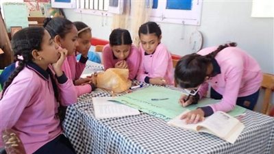 أنشطة متنوعة وأمسيات شعرية بثقافة البحر الأحمر 