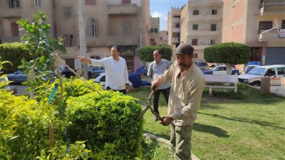 استعدادًا للعيد القومي.. حملات مكبرة لزراعة الأشجار بالغربية 