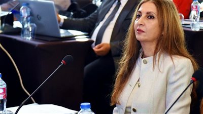 داليا الهواري: مراجعة ديناميكية الأعمال ترسم صورة أوضح للاقتصاد المصري 