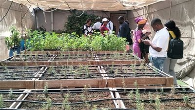 المركزي للمناخ الزراعي يستقبل مبعوثين من دول إفريقية 