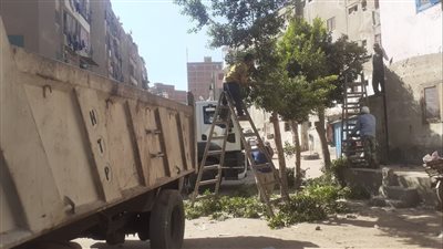  رفع 110 طن اتربة ومخالفات بميت غمر في الدقهلية