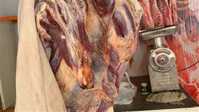  احالة 263 مخالفة تموينية إلى  لنيابة العامة بالدقهلية