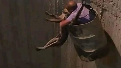 على هدى النبي.. مواطن يُخاطر بحياته لإنقاذ كلب بعد رميه في بئر 15 متر (فيديو)