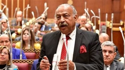 النائب هاني العسال: مشروع رأس الحكمة يحقق عوائد تاريخية للاقتصاد الوطني 