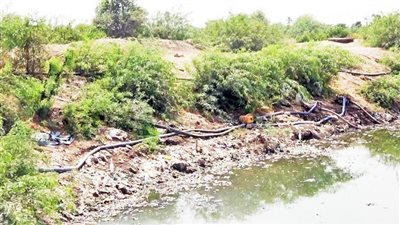 ارتفاع الإصابة بالسرطان والفشل الuلوى بديرب نجم