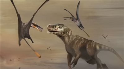 اكتشاف مذهل يكشف أسرار الزواحف الطائرة المنقرضة