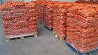 استثمار واعد.. دور البطاطس  في الاقتصاد القومي لمصر وهولندا