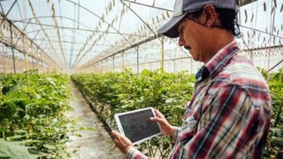 ثورة خضراء.. مصر تسجل أصنافًا جديدة من اللوبيا والثوم