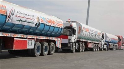 قيادي فلسطيني: دخول نحو 87% من المساعدات المصرية لغزة موقف نقدره للرئيس السيسي 