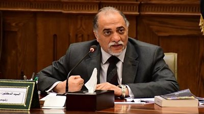 زعيم الأغلبية: الصندوق السيادي ليس بدعة