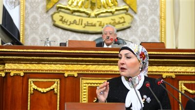 وكيل مشروعات النواب: نجاح الصناديق السيادية يعتمد على الإدارة الفعّالة والتخطيط الواضح