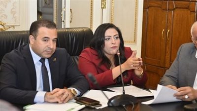 اتصالات البرلمان: اعتماد 5 مليارات جنيه لزيادة أبراج شبكات المحمول بالمحافظات 