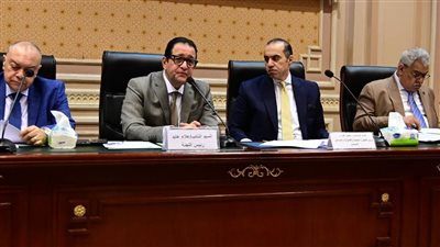 محمود فوزي: وزير الشئون النيابية نصف نائب ونصف وزير 