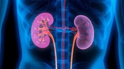 انتبه.. التهابات المسالك البولية قد تودي بحياتك 