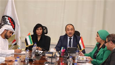 وزير قطاع الأعمال العام يبحث مع سفيرة الإمارات بالقاهرة تعزيز التعاون الاستثماري  