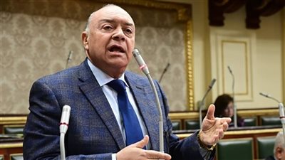 وكيل نقل النواب: إنشاء ممر ملاحي بين بحيرة فيكتوريا والبحر المتوسط فرصة لتنشيط التجارة