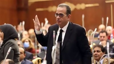برلمانية الوفد: رفع 716 شخصا من الكيانات الإرهابية ترسيخ لمنهج السيسي بأن مصر وطن يتسع للجميع