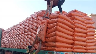 مصدر يكشف مصير الأسمدة الكيماوية المسدد ثمنها منذ أشهر