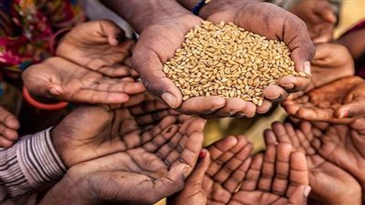 جهود الزراعة لتحقيق الأمن الغذائي