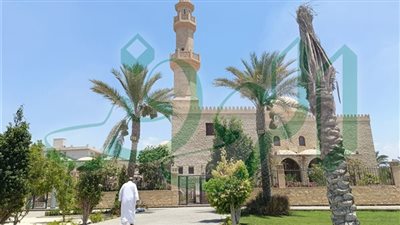 بث مباشر.. شعائر صلاة الجمعة من مسجد المفتي السابق 