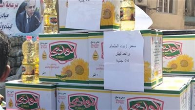 التنمية المحلية تتابع جهود المنيا لتنفيذ مبادرة 