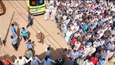 وفاة أم  بعد سقوط ابنها من أعلى أشجار النخيل بالإسماعيلية 