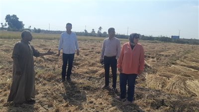 جولات ميدانية بمحافظتى الغربية وكفر الشيخ لمتابعة منظومة مواجهة نوبات تلوث الهواء  