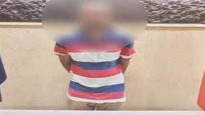 سقوط عنصر إجرامي بـ 9 وقائع سرقة