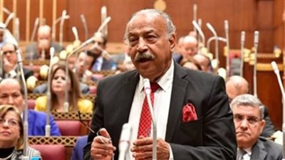 النائب هاني العسال: تجمع البريكس يمنح مصر قوة اقتصادية