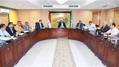 محافظ الفيوم يتابع مستجدات ملفات 