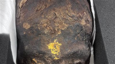 استرداد 3 قطع أثرية من ألمانيا 