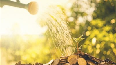 تعرف على أهم أحكام زكاة المال في الإسلام 