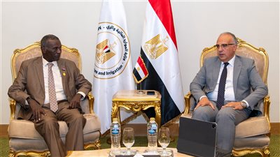 وزير الري يلتقى نظيره السودانى