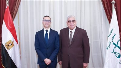 لبحث التعاون المشترك.. رئيس مجلس الدولة يستقبل وزير الاستثمار 