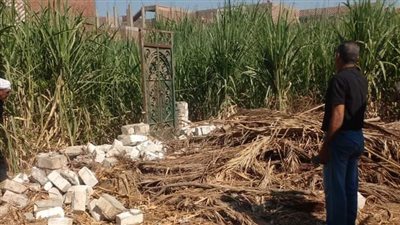 حملة لإزالة التعديات على الأراضي الزراعية بنجع حمادي 