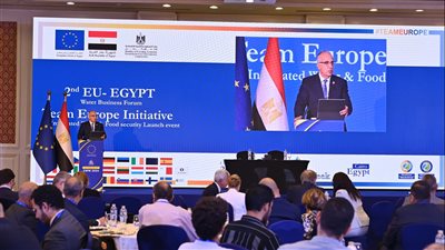 وزير الري يشارك في فعاليات الجلسة العامة 