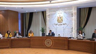 مدبولي: مبادرة 