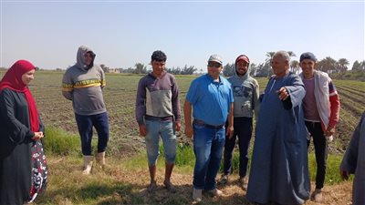 أبرز أنشطة 