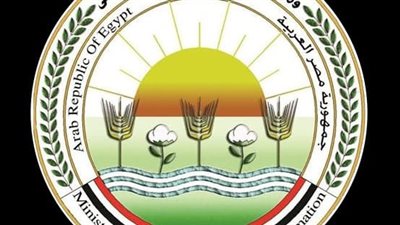 لجنة منظومة تداول القطن: غدا فتح مراكز تجميع الأقطان بالوجه البحرى