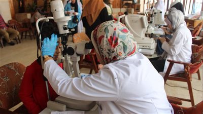 محافظ الدقهلية يتابع تنفيذ مبادرة تخفيض أسعار اللحوم