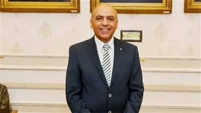 أبوالفتوح: إشادة مديرة صندوق النقد بـ«حياة كريمة» تعكس جهود مصر لتنمية الإنسان 