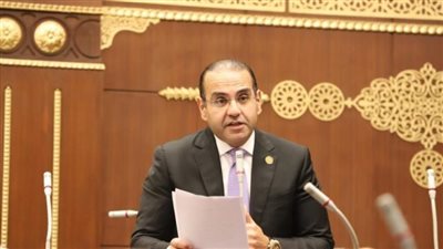 صناعة الشيوخ تطالب الحكومة بوضع قائمة بالسلع غير الضرورية لحظر استيرادها نهائيًا