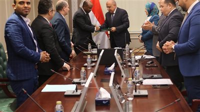 مصر توقع اتفاقية ثنائية وعقد لتوريد وتركيب محطة شمسية في جيبوتي